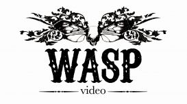 Wasp Video