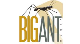 Big Ant Video