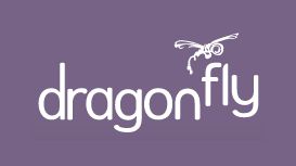 Dragonfly Digital Video Services