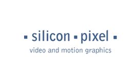 Silicon Pixel